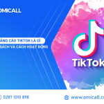 What is TikTok advertising? Advertising policies and how it works.